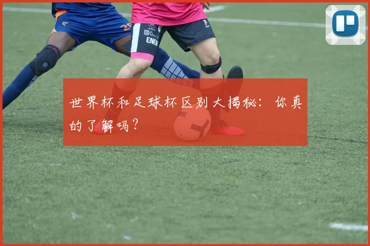 世界杯和足球杯区别大揭秘：你真的了解吗？