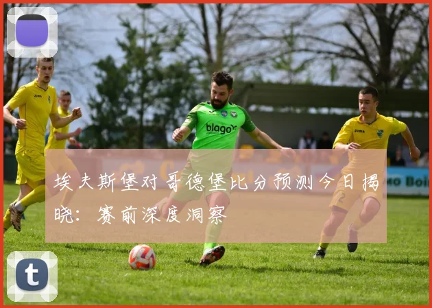 埃夫斯堡对哥德堡比分预测今日揭晓：赛前深度洞察